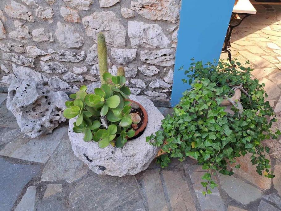 Fragosiko - Rustic Retreat In Kefalonia أرغوستولي المظهر الخارجي الصورة