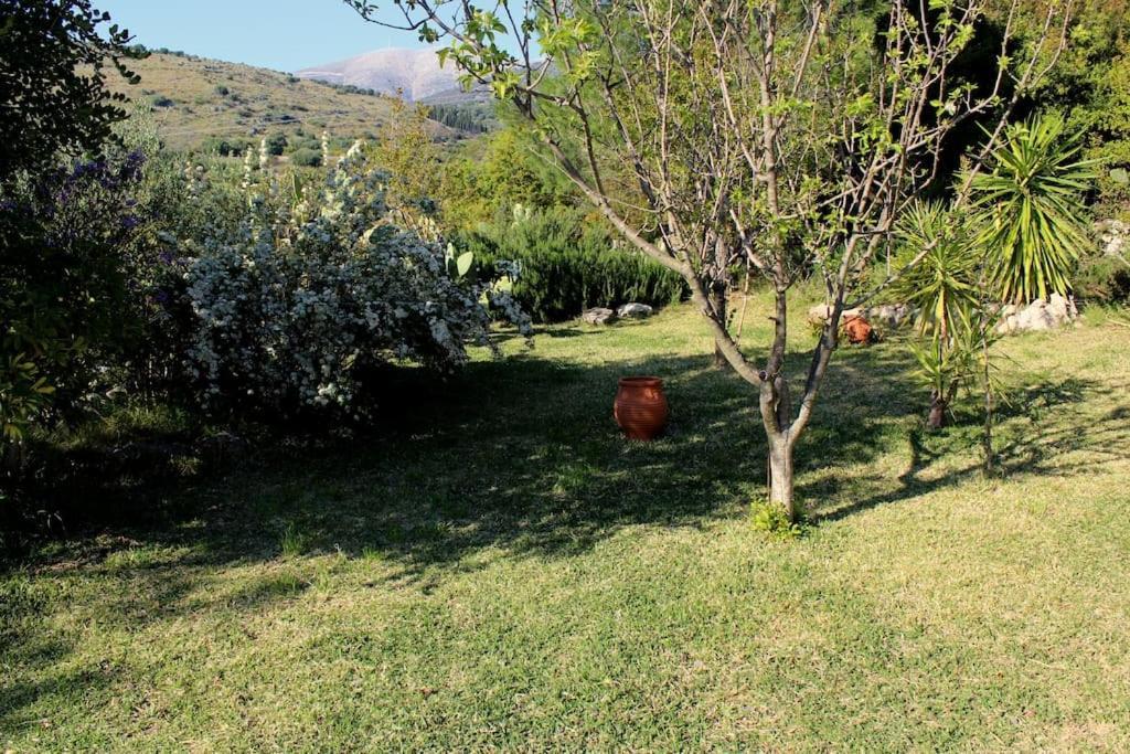 Fragosiko - Rustic Retreat In Kefalonia أرغوستولي المظهر الخارجي الصورة