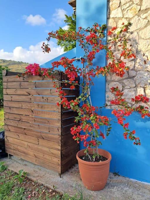 Fragosiko - Rustic Retreat In Kefalonia أرغوستولي المظهر الخارجي الصورة