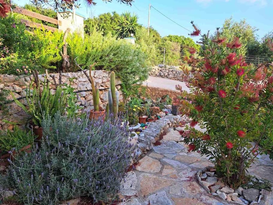 Fragosiko - Rustic Retreat In Kefalonia أرغوستولي المظهر الخارجي الصورة