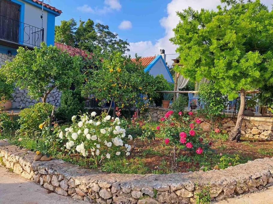 Fragosiko - Rustic Retreat In Kefalonia أرغوستولي المظهر الخارجي الصورة