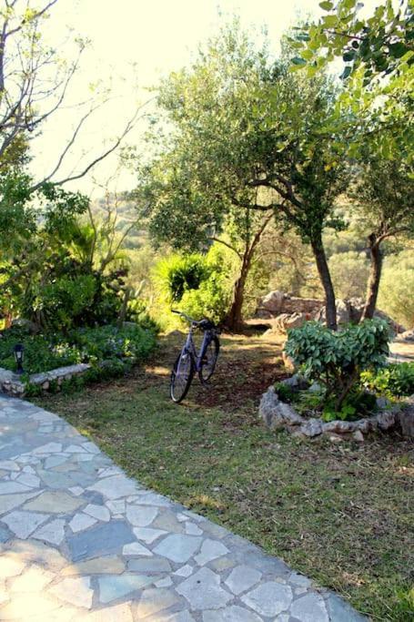 Fragosiko - Rustic Retreat In Kefalonia أرغوستولي المظهر الخارجي الصورة