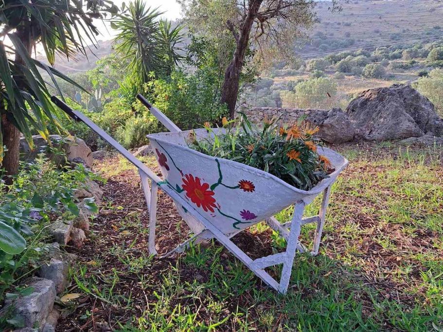 Fragosiko - Rustic Retreat In Kefalonia أرغوستولي المظهر الخارجي الصورة